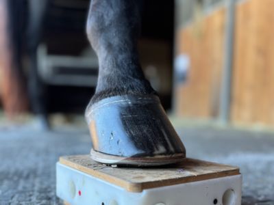 photo account presentation