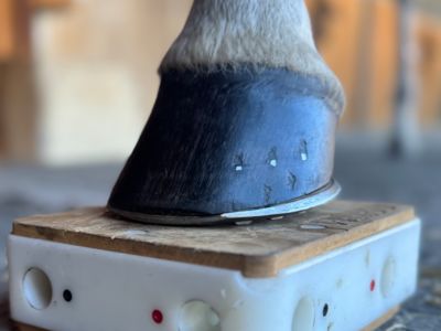 photo account presentation