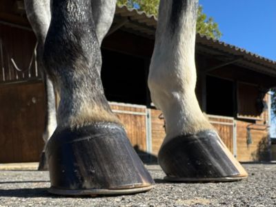 photo account presentation