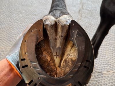 photo account presentation