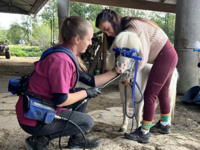 photo account presentation