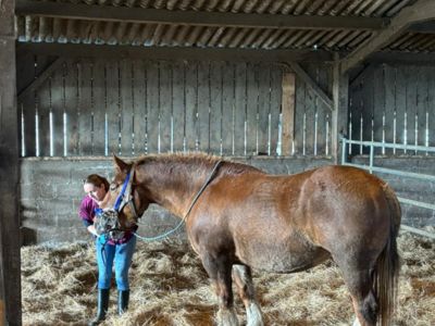 photo account presentation