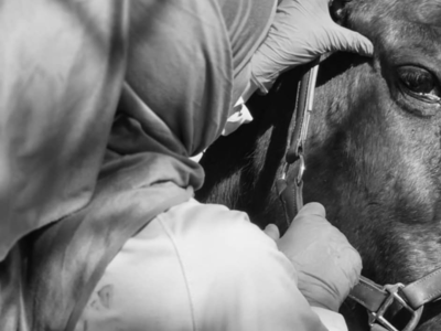 photo account presentation