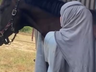 photo account presentation