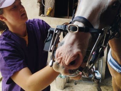 photo account presentation