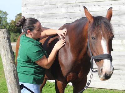 photo account presentation