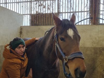 photo account presentation