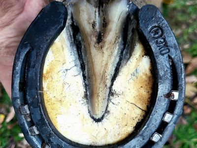 photo account presentation