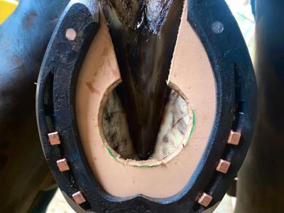 photo account presentation