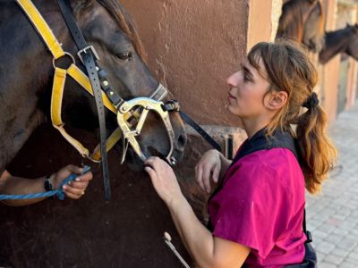 photo account presentation