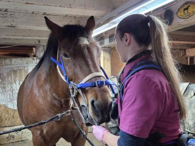 photo account presentation