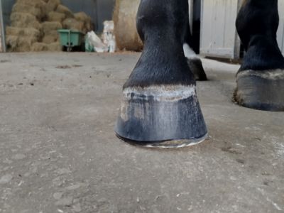 photo account presentation