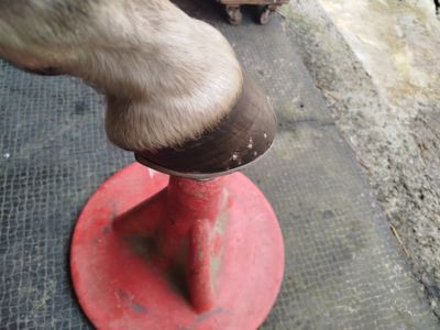 photo account presentation