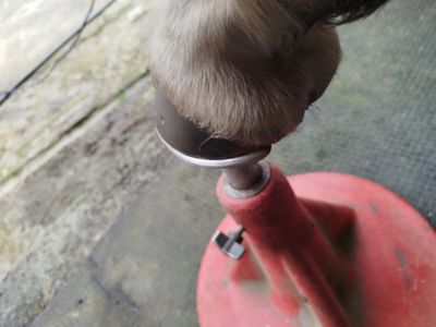 photo account presentation