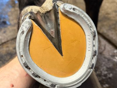 photo account presentation