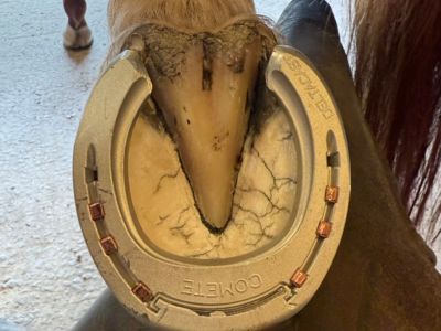 photo account presentation