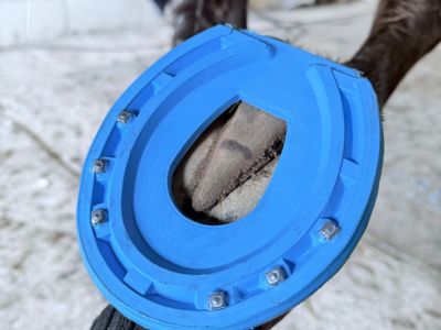 photo account presentation