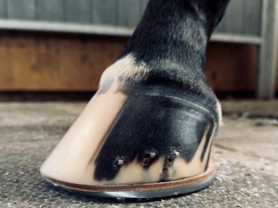 photo account presentation