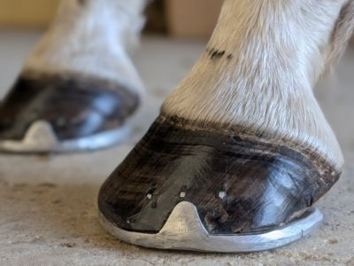 photo account presentation