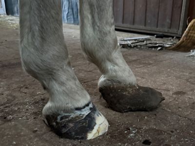 photo account presentation