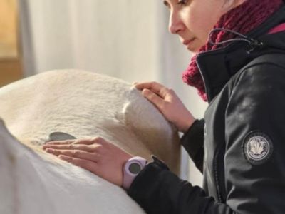 photo account presentation