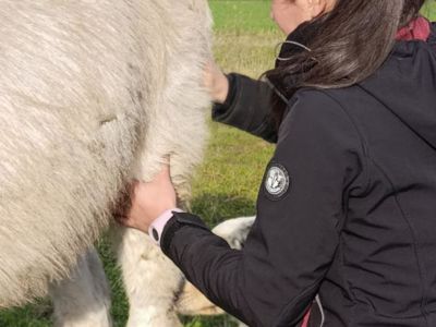 photo account presentation