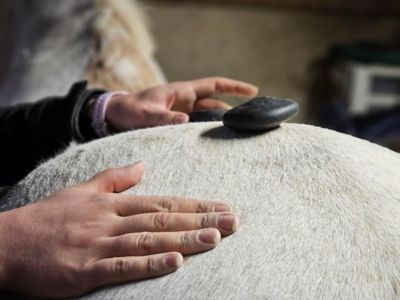 photo account presentation