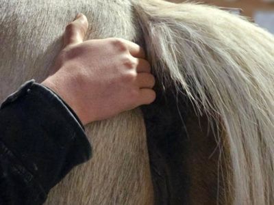 photo account presentation