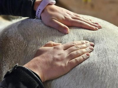 photo account presentation