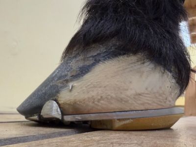 photo account presentation