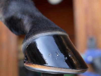 photo account presentation