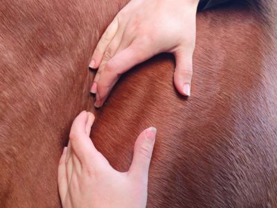 photo account presentation