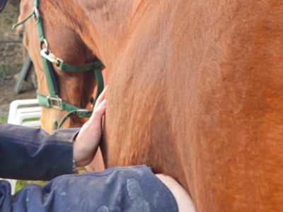 photo account presentation