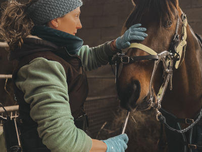 photo account presentation