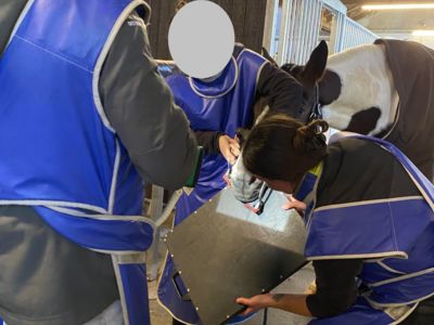 photo account presentation