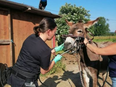 photo account presentation