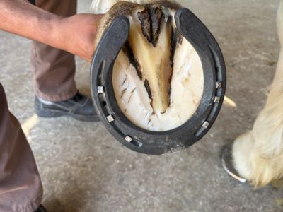 photo account presentation