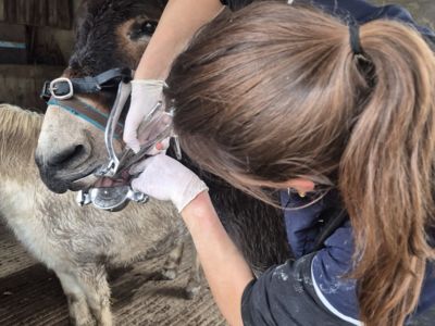 photo account presentation