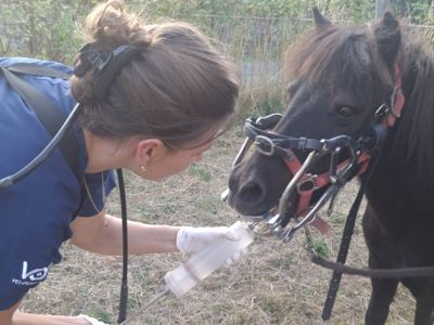 photo account presentation