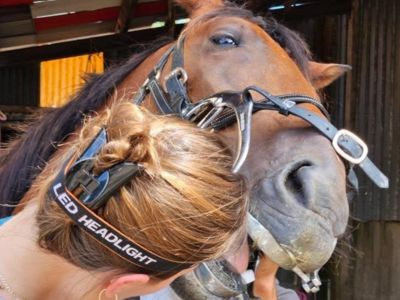 photo account presentation