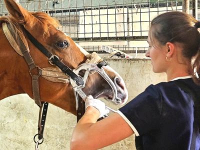 photo account presentation