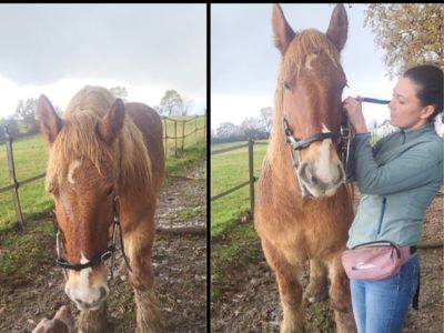 banner picture Oyhenart Cecile