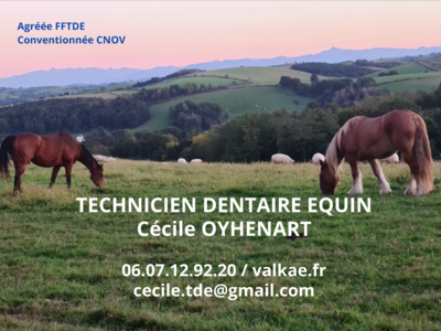 photo account presentation