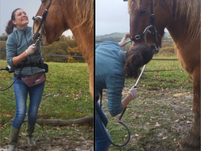 photo account presentation