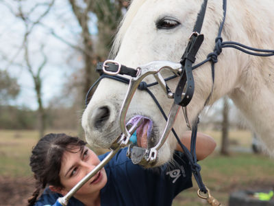 photo account presentation