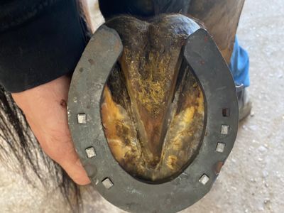 photo account presentation