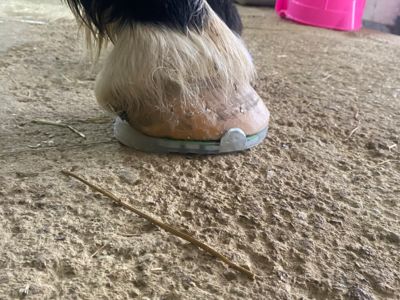 photo account presentation