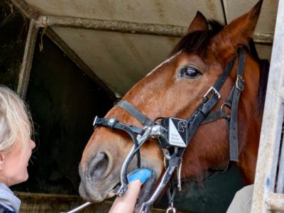 banner picture Bigas Catherine