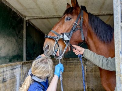 photo account presentation