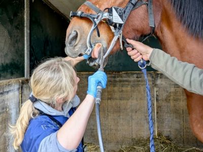 photo account presentation